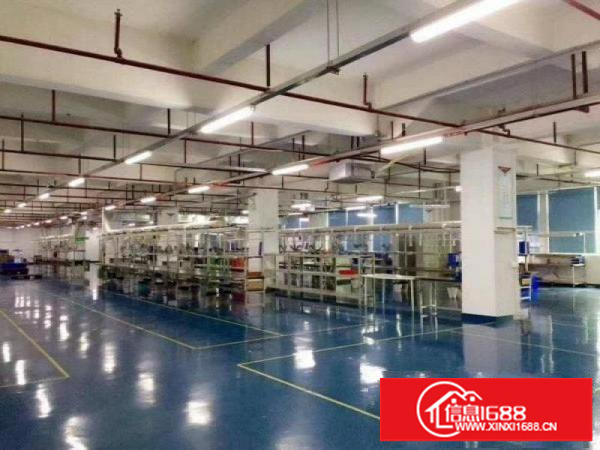 出租龙岗区横岗银荷楼上1200平米厂房带精装修