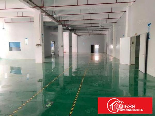 塘厦科苑城新出700平一楼，装修新净，原房东实际面积出租