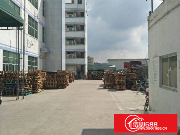 惠阳秋长1500平一楼带装修厂房出租高6米有喷淋