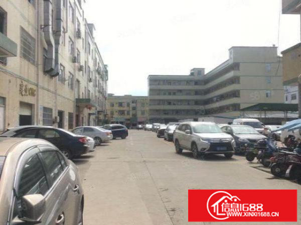 坪山坑梓龙田街道龙湾市场旁楼上精装修带办公室1200平18元