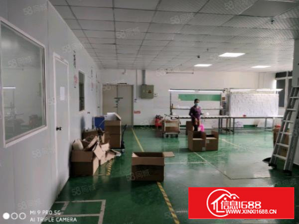 西乡新出500平带装修厂房出租，国道边交通方便