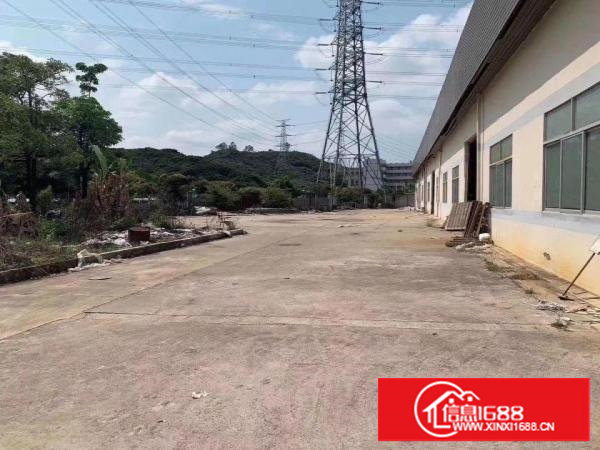 塘厦新出钢构原房东小独院面积2800平，滴水6米，进出便利