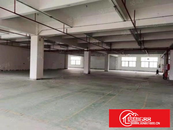 （出租）长安乌沙新出独院厂房6000平宿舍2600出租可分租