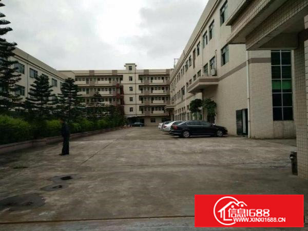 清溪东深高速旁一楼厂房2200平方高度6.5米