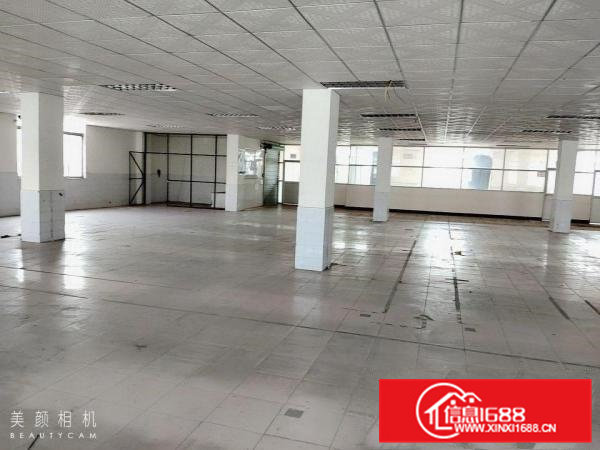 独门独院成熟工业区标准厂房