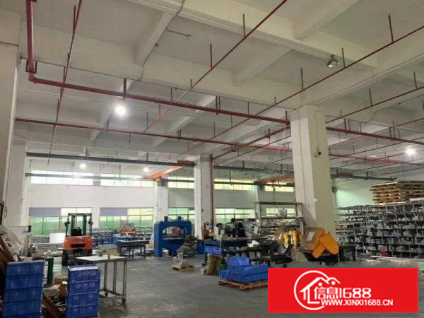 小捷滘附近新出原房东一楼1200平厂房出租