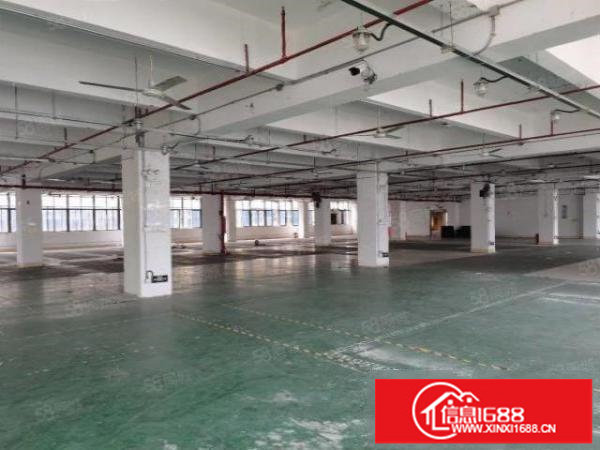 文博宫附近带装修红本厂房1000平大小可分租