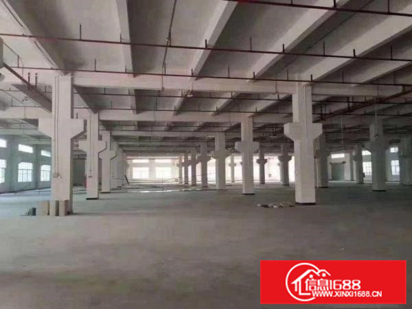 原房东国有证红本独院厂房出租