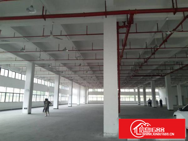 惠阳区新圩镇标准独院面积9180平带红本厂房出租