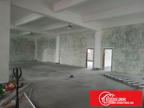 龙岗原房东一楼360平出租