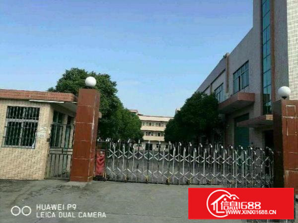 石排独院一楼厂房1450平方出租