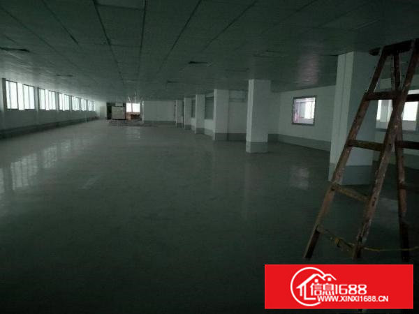 横沥三江工业区原房东独院厂房出租工业用地环评秒过总6500平