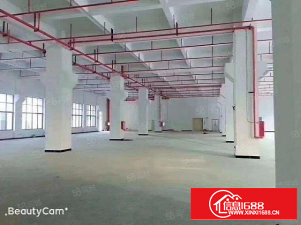 证件齐全带喷淋消防石排镇原房东新标准厂房3000平方出租