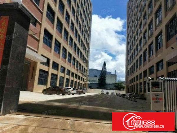 凤岗官井头各3000平多层全新标准厂房出租红本全新厂房