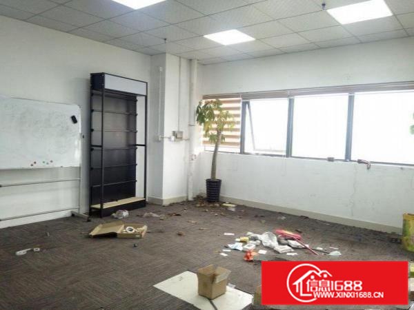 新墟红本研发厂房480平米精装修整租