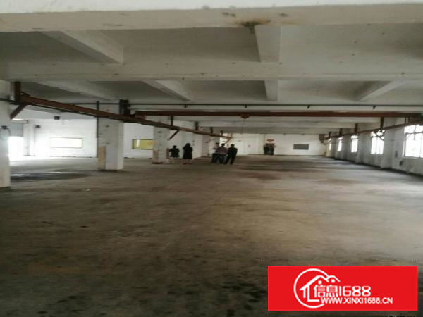 龙岗镇一楼厂房1400平方米大小面积可分租