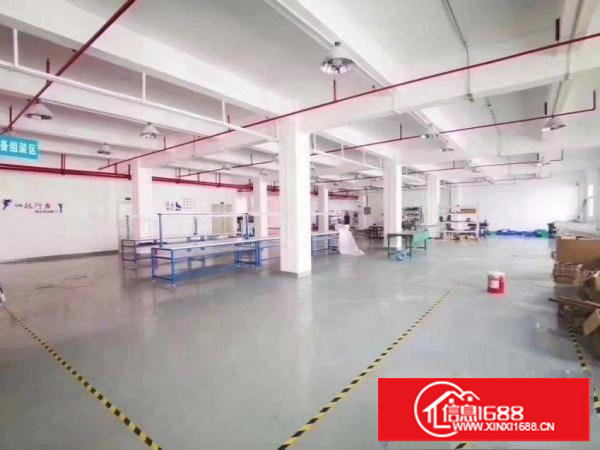 蛟乙塘新出原房东厂房3楼1200平方带现成装修无公摊