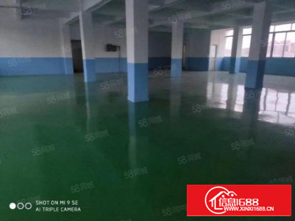 出租|万江标准厂房1000平证件齐全可随时拎包入住