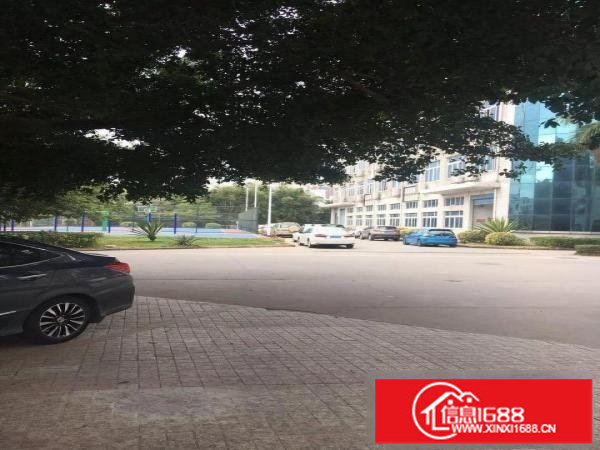 横岗保安社区1楼厂房2268平方高度6米带消防喷淋