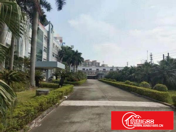 茶山镇新出原房东园区，花园式厂房可独栋分租，水宿舍按需