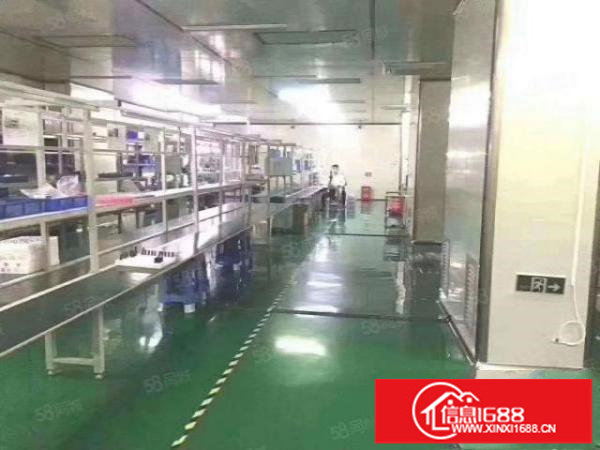 龙岗同乐原房东带装修厂房1600平出租，没有转让费可以分租