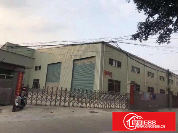 出租清溪铁松新出独院9米高钢构厂房3250平方，带隔热层