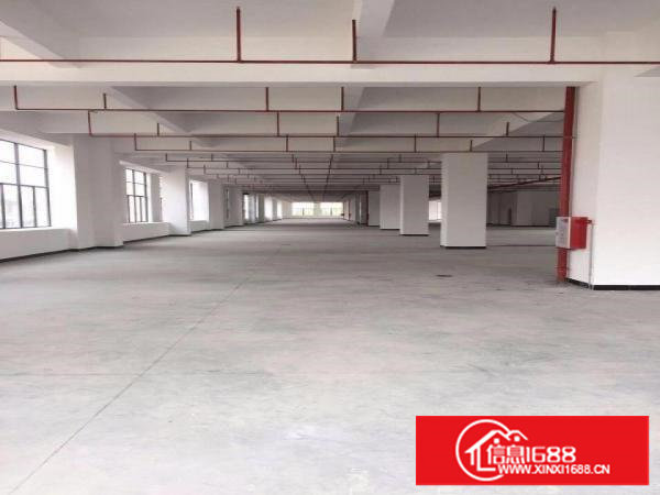 长安厦边新出一楼重工业厂房带装修3800平（可分租）