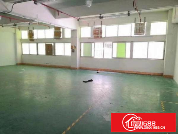 龙华大浪低价厂房24元特价出租