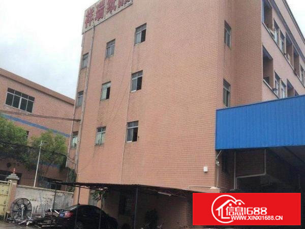 最新赤坎路原祥瑞纸箱厂房出租