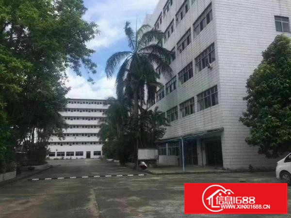 公明花园式红本独院厂房约20000平（可分租）