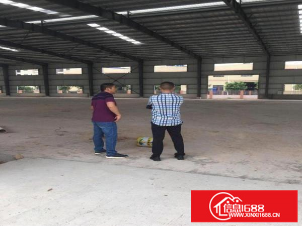 佛山三水低价厂房十米高全新带隔热单一层