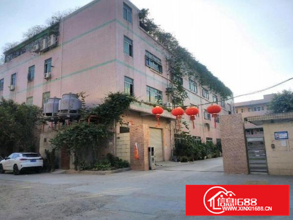 平湖新南村独院厂房三楼420、200、700平方