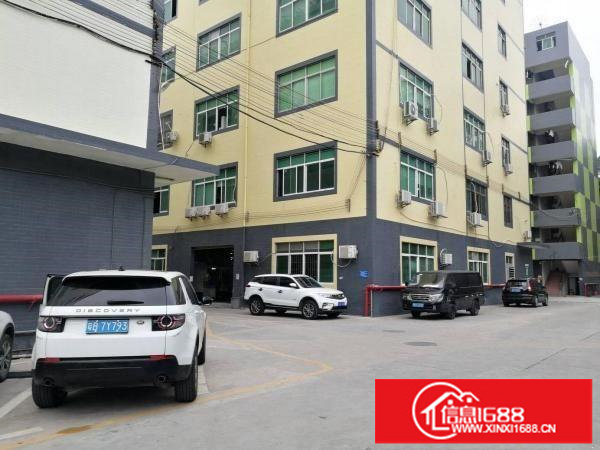 坂田天安云谷旁红本科技园楼上1000平带装修厂房出租可分租