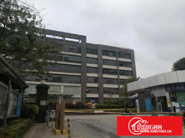 清溪原房东独院厂房出租10000平方500平起分租一楼带牛角