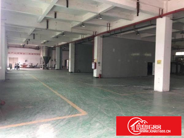 企石原房东混凝土标准厂房出租（可分租）