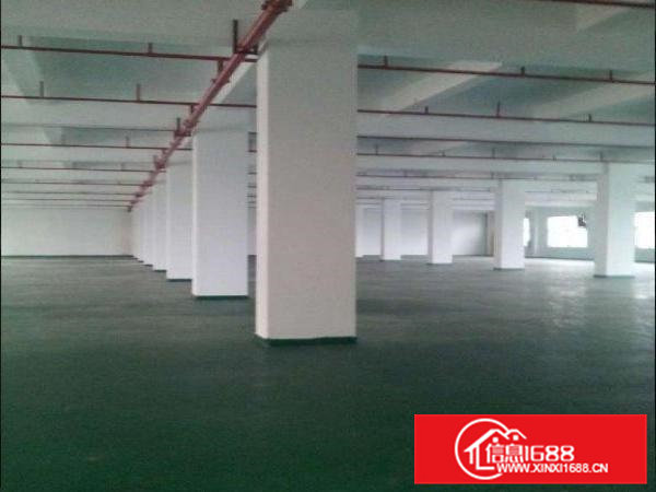 油甘埔村独院厂房分租1000平,现成装修形象好