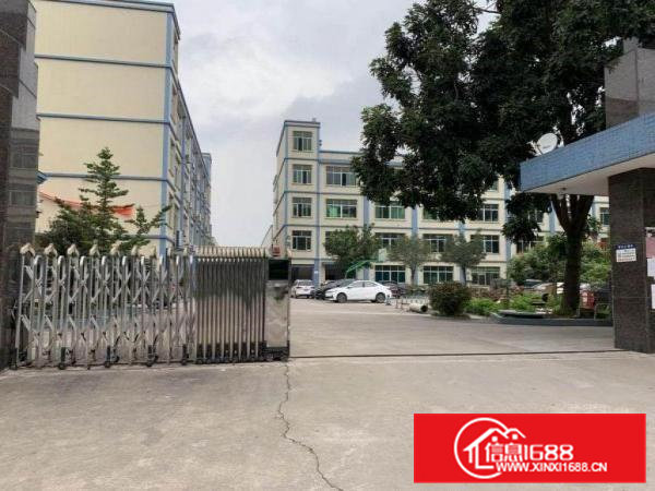 黄江社贝工业区一楼厂房800平低价出租，无公摊