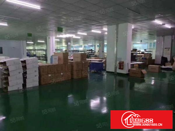 茶山镇工业区高大尚厂房出租3456楼各1000平方招租