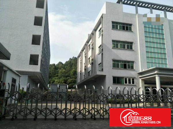 布吉新出标准二楼800平厂房形象好带装修招租