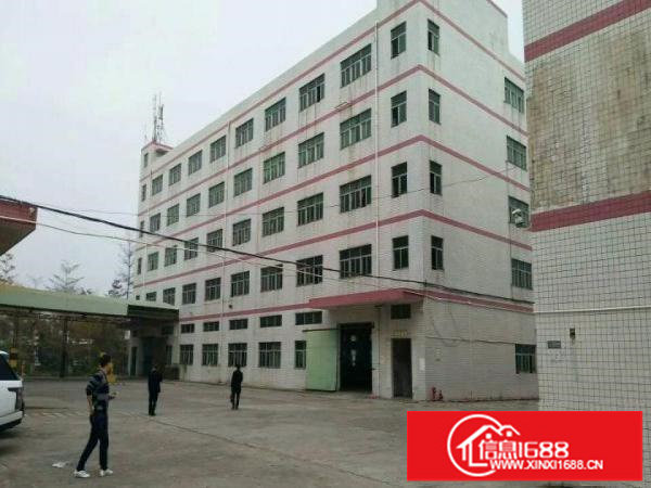 坂田扬美路1080平标准厂房