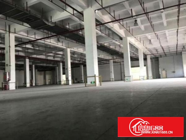 万江新出独院标准厂房一楼1500平方出租适合做设备、塑胶