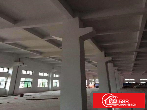 泰美原房东全新工业园14元招租可签15年合同