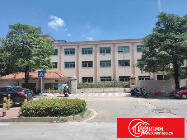 松岗独院厂房1-3层6000㎡带装修有红本过环评低价招租