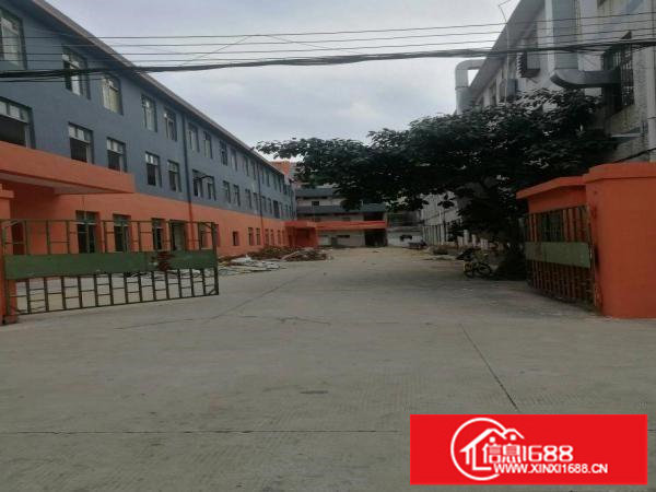 龙岗爱联独院厂房3900平方米招租