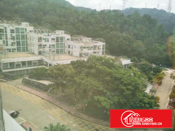 出租原房东石岩大型桃花源区实际面积出租2700平90起分