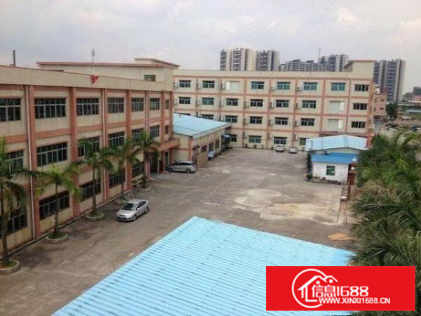 常平苏坑工业区新出厂房2000平方空地超大水电齐全带装修