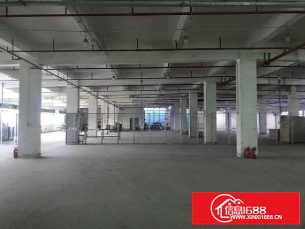 水电齐全，二类消防，光线很好