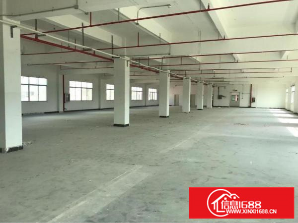 公明南光高速口空出楼上整层1350平带喷淋厂房招租