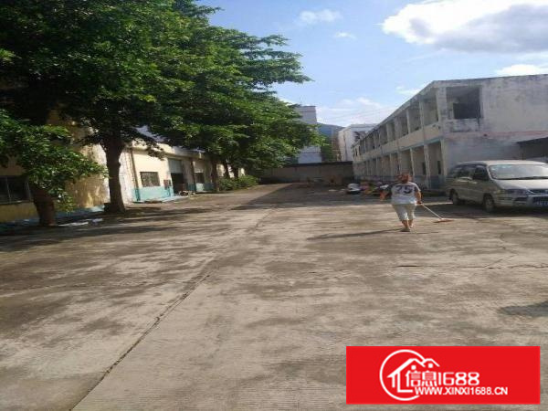 新圩约场独门独院厂房出租