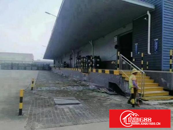 企石单一层物流仓共10000平方低价出租